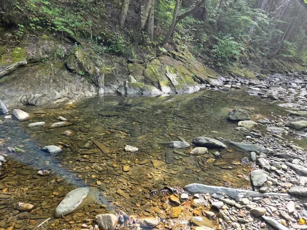 00 Chateauguay Road Barnard VT 05031