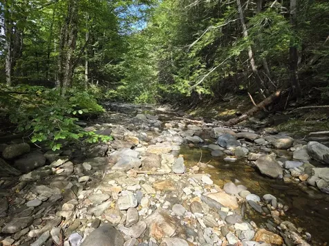 00 Chateauguay Road Barnard VT 05031