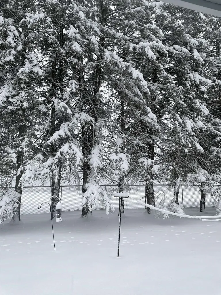 75 Hinsdale Heights Hinsdale NH 03451