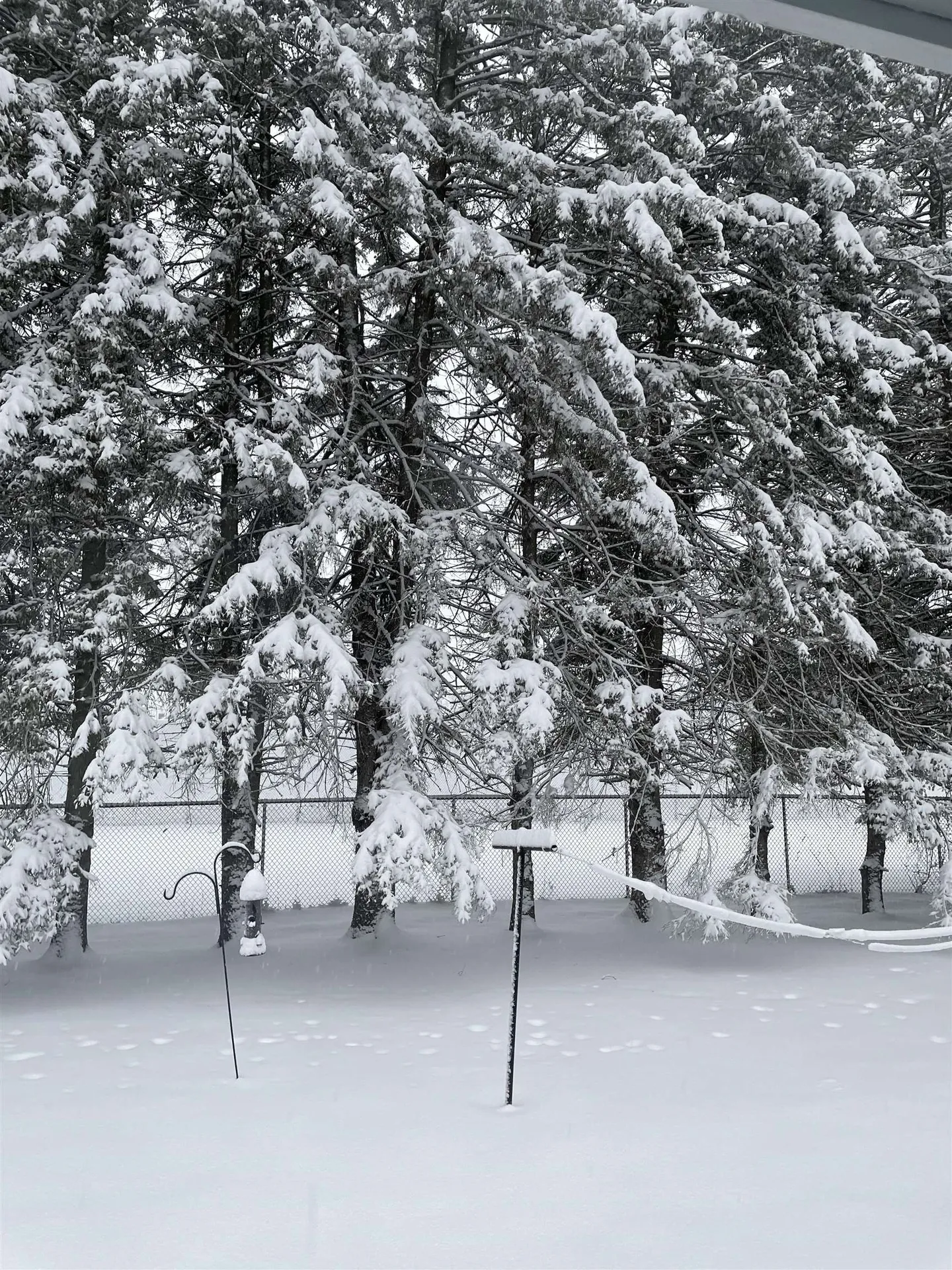 75 Hinsdale Heights Hinsdale NH 03451