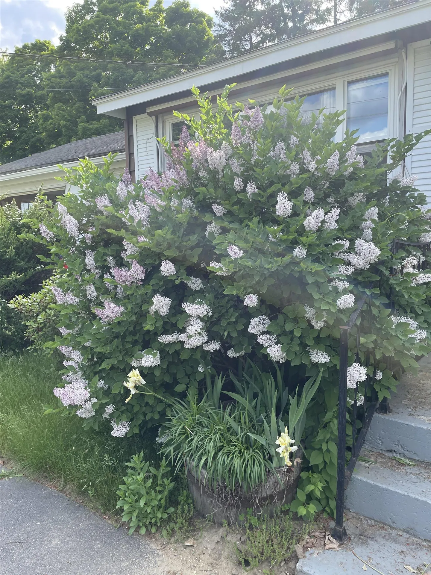 75 Hinsdale Heights Hinsdale NH 03451