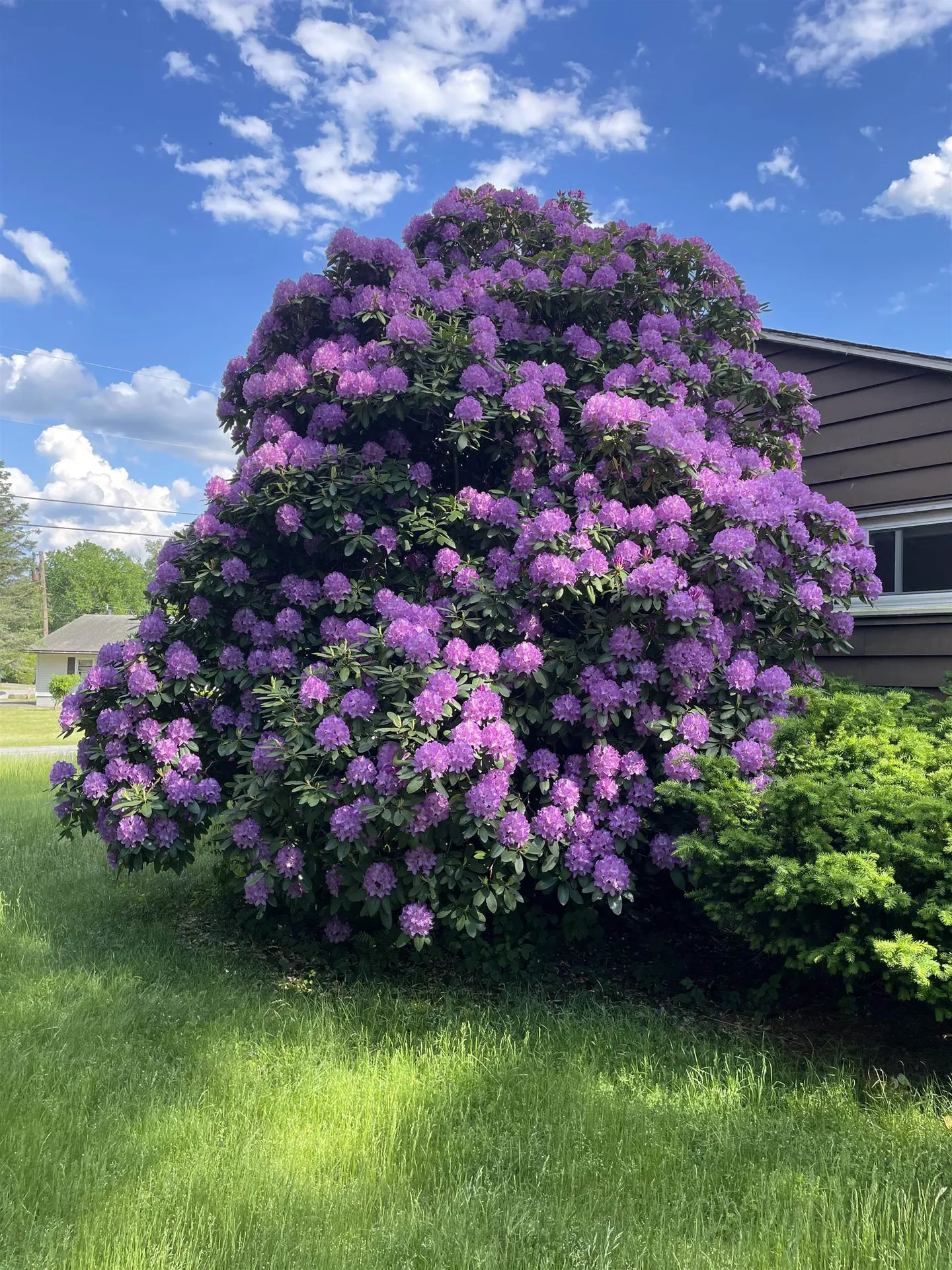 75 Hinsdale Heights Hinsdale NH 03451