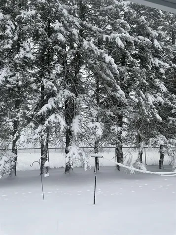 75 Hinsdale Heights Hinsdale NH 03451