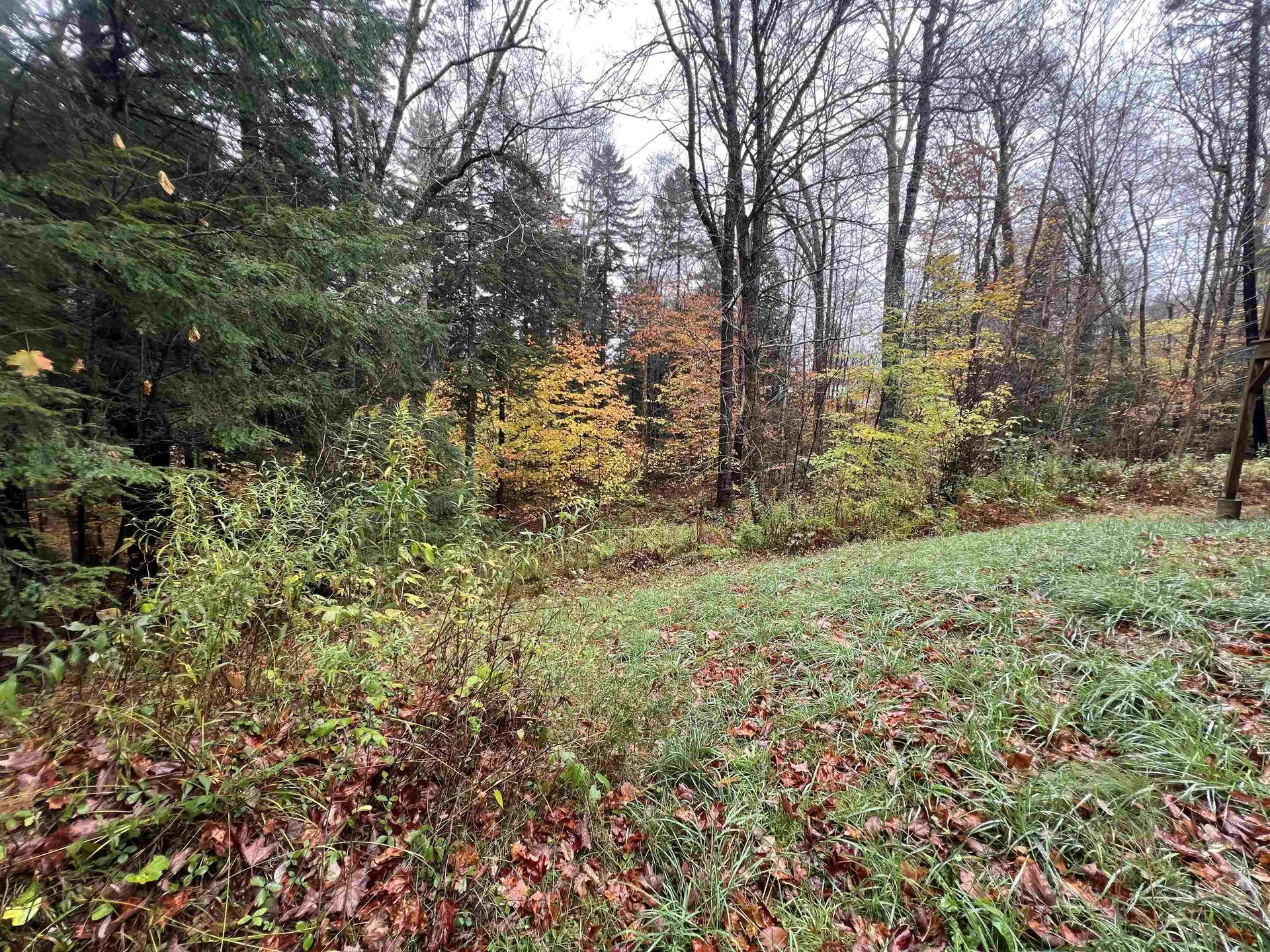 40 Ellis Brook Road Dover VT 05356