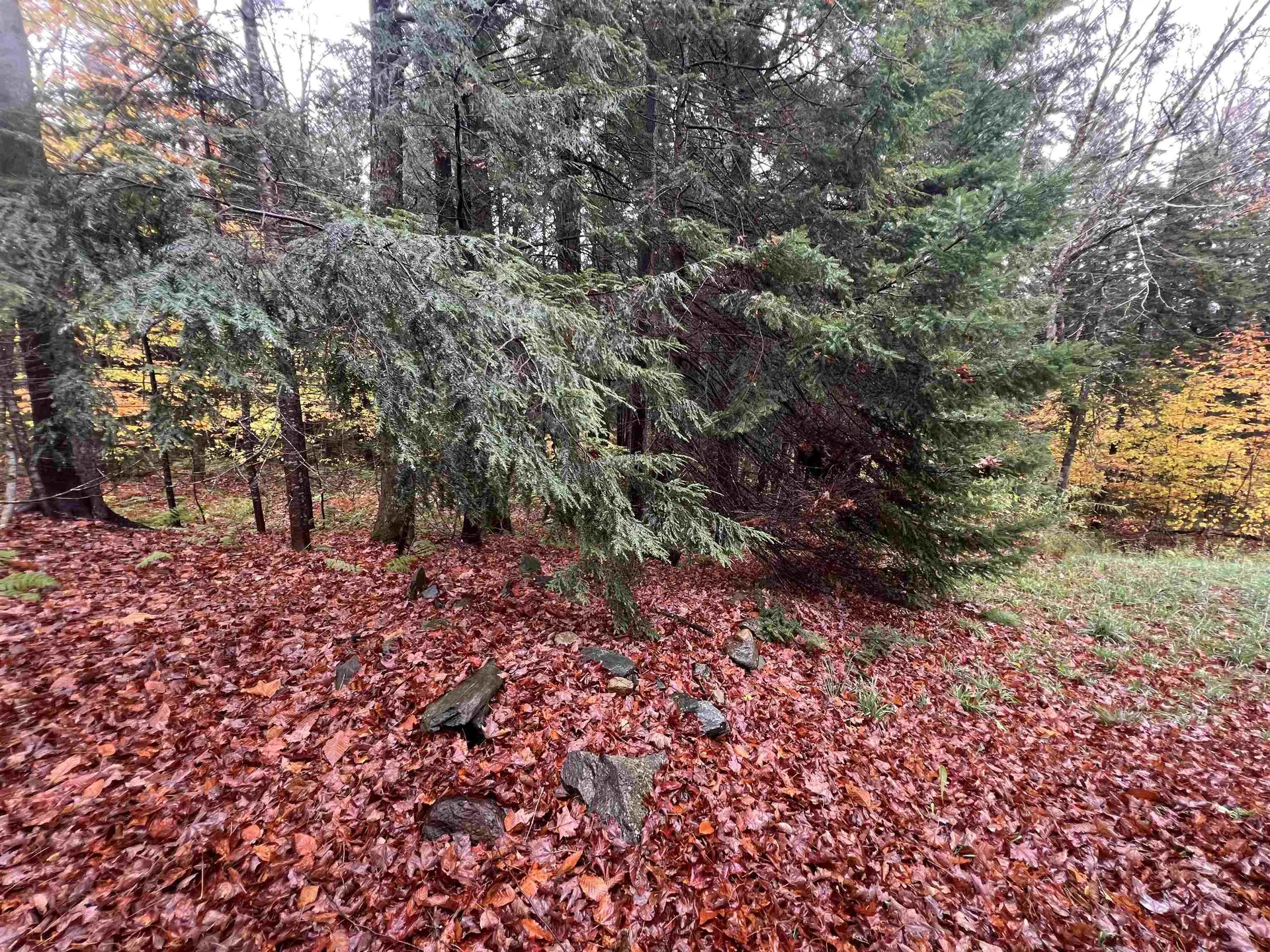 40 Ellis Brook Road Dover VT 05356