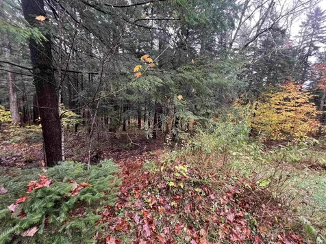 40 Ellis Brook Road Dover VT 05356