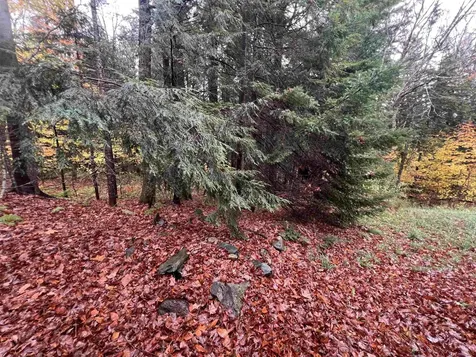 40 Ellis Brook Road Dover VT 05356