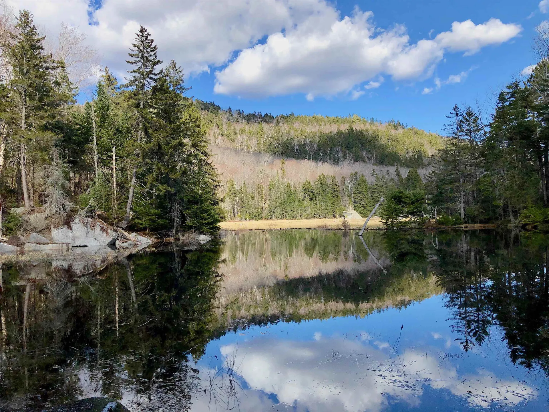 768 Doetown Road Rumney NH 03266