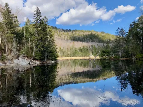 768 Doetown Road Rumney NH 03266