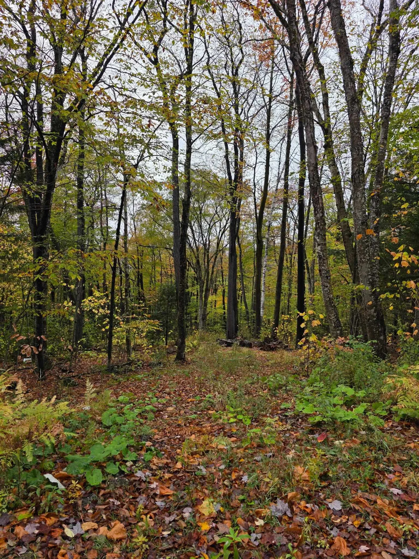 00 Heartwellville View Road Readsboro VT 05350