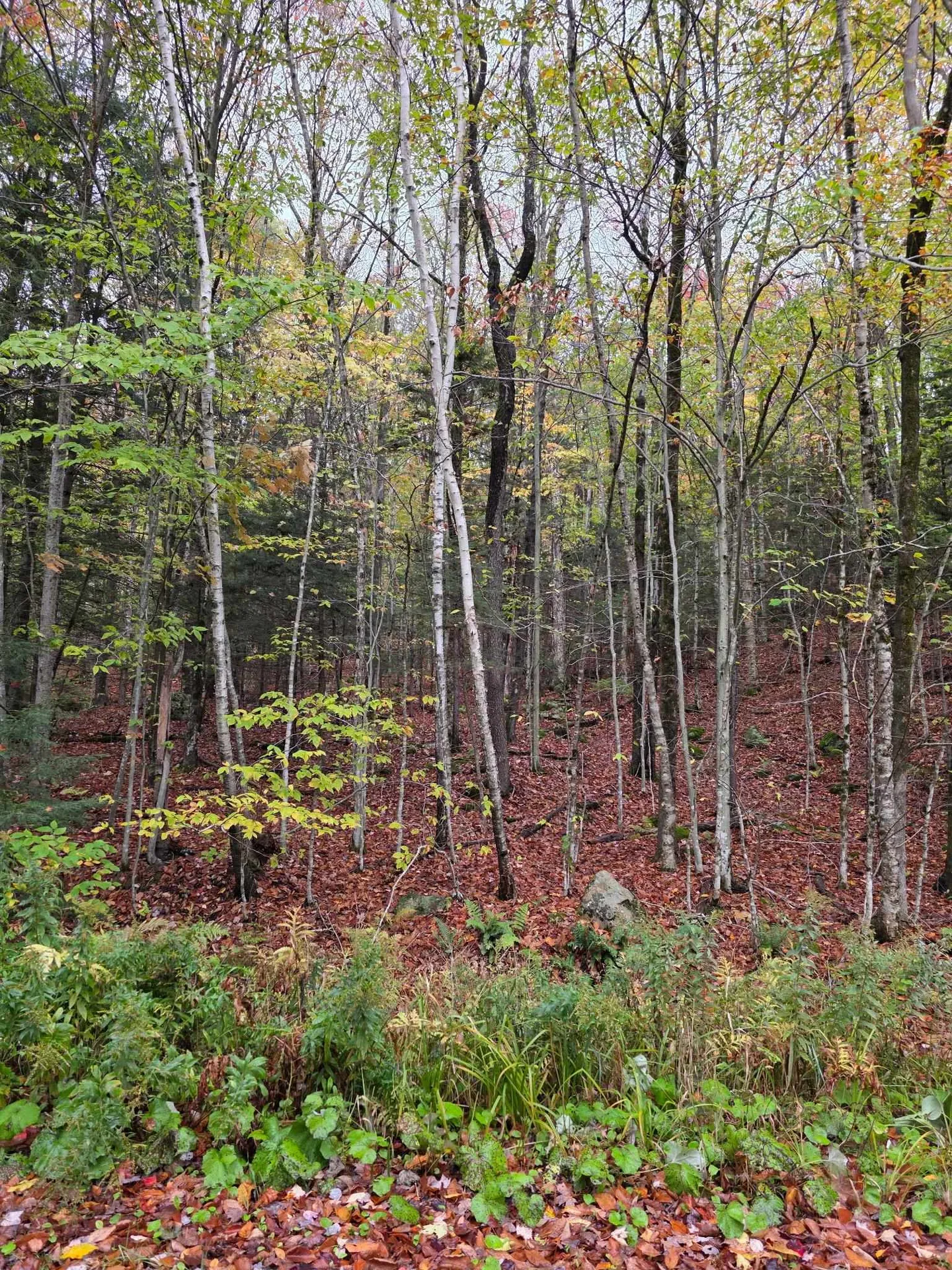 00 Heartwellville View Road Readsboro VT 05350