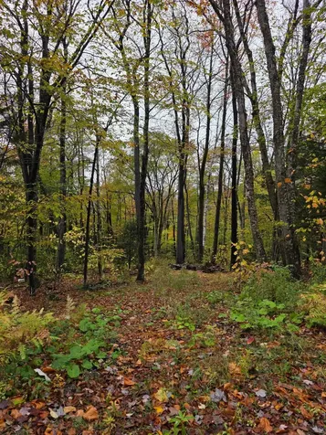 00 Heartwellville View Road Readsboro VT 05350