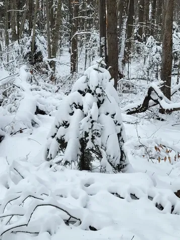 00 Heartwellville View Road Readsboro VT 05350