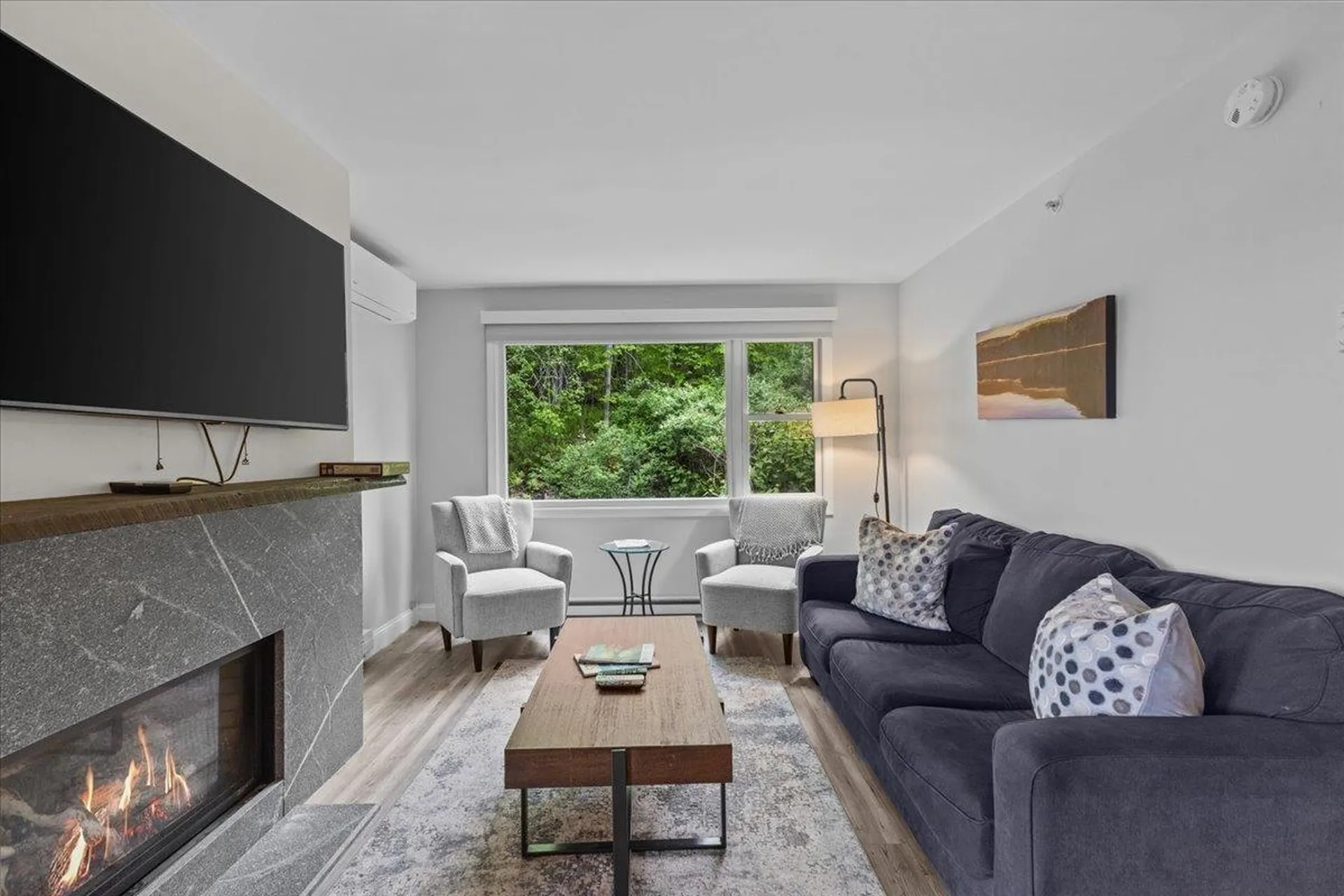 109 Mountainside Drive Stowe VT 05672