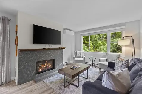 109 Mountainside Drive Stowe VT 05672