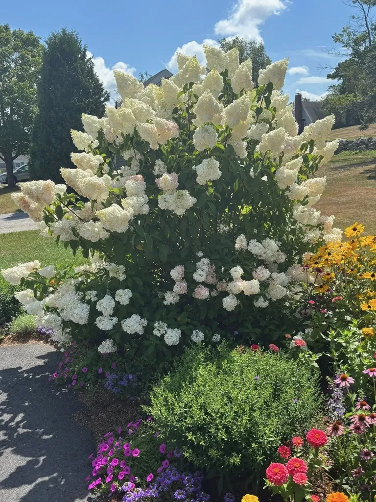 26 Hilltop Place New London NH 03257