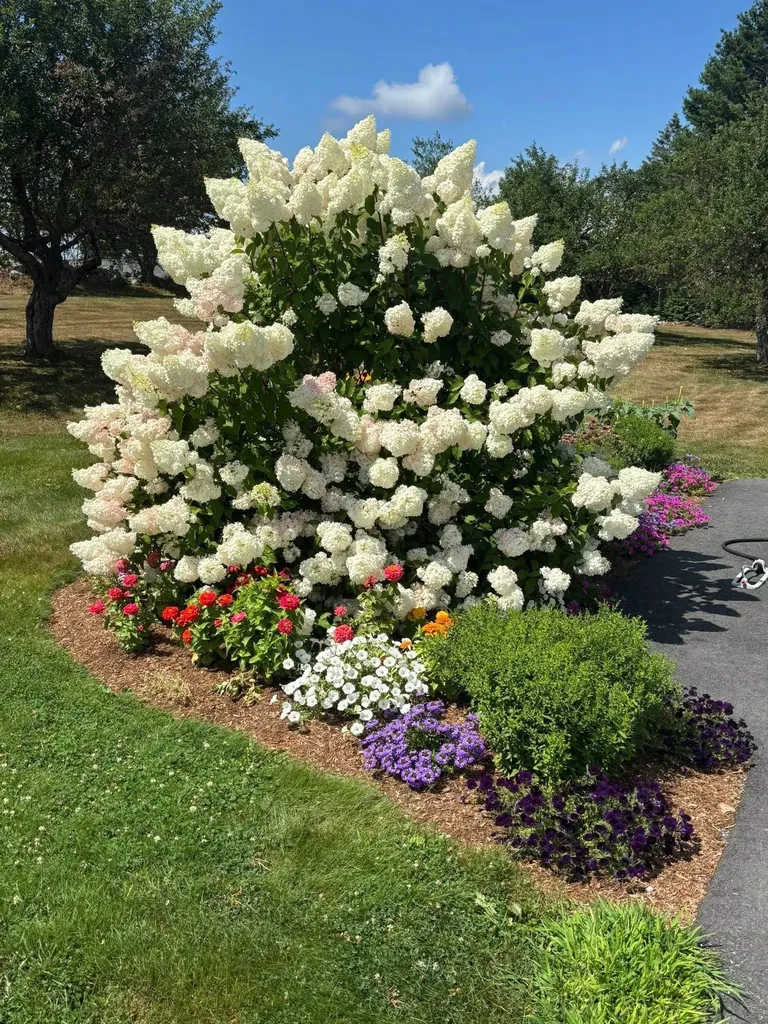 26 Hilltop Place New London NH 03257