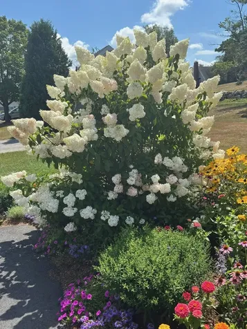 26 Hilltop Place New London NH 03257