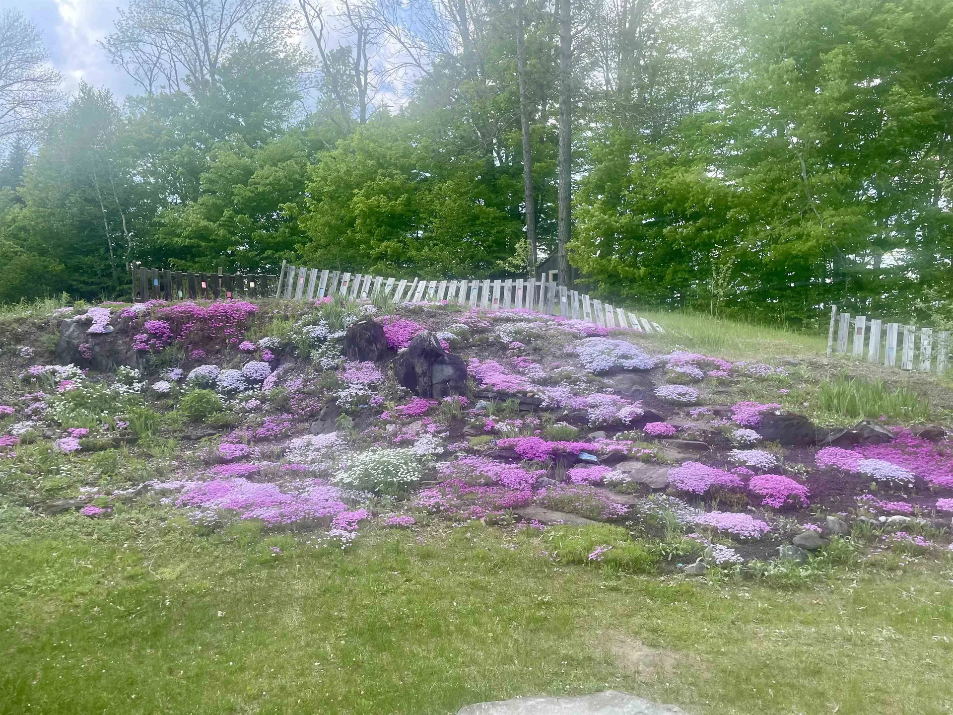 158 Evergreen Lane Danville VT 05828