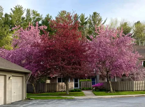 608 South Beach Road South Burlington VT 05403