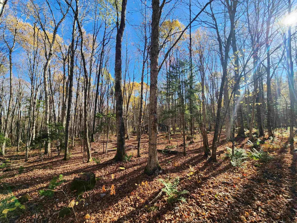 2098 Kinney Hill Road Newark VT 05871