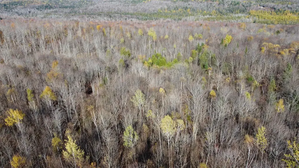 2098 Kinney Hill Road Newark VT 05871