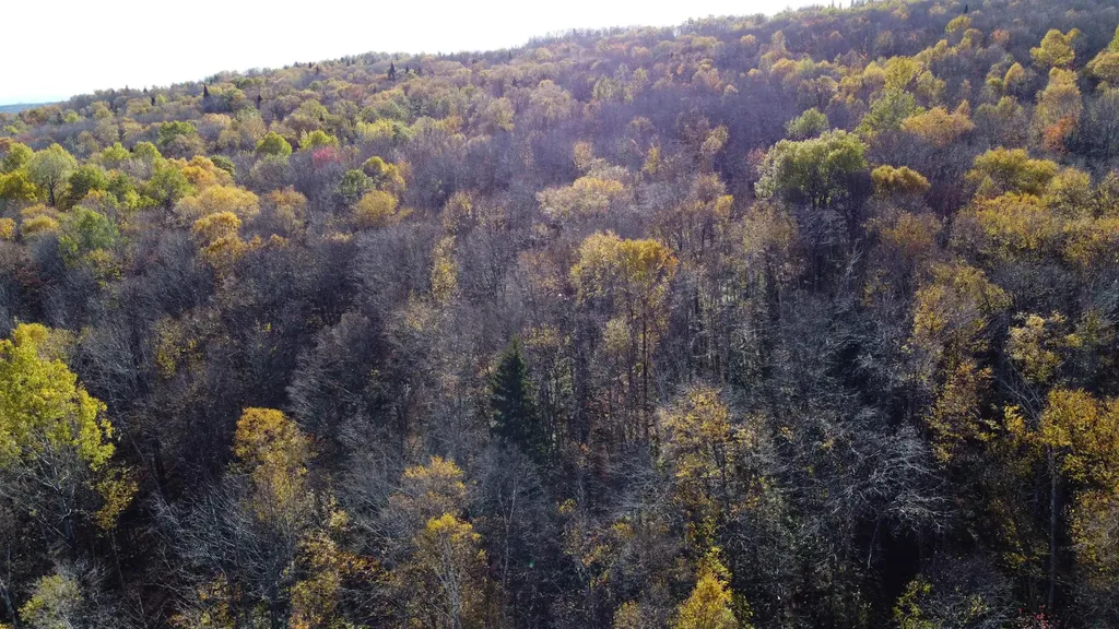 2098 Kinney Hill Road Newark VT 05871