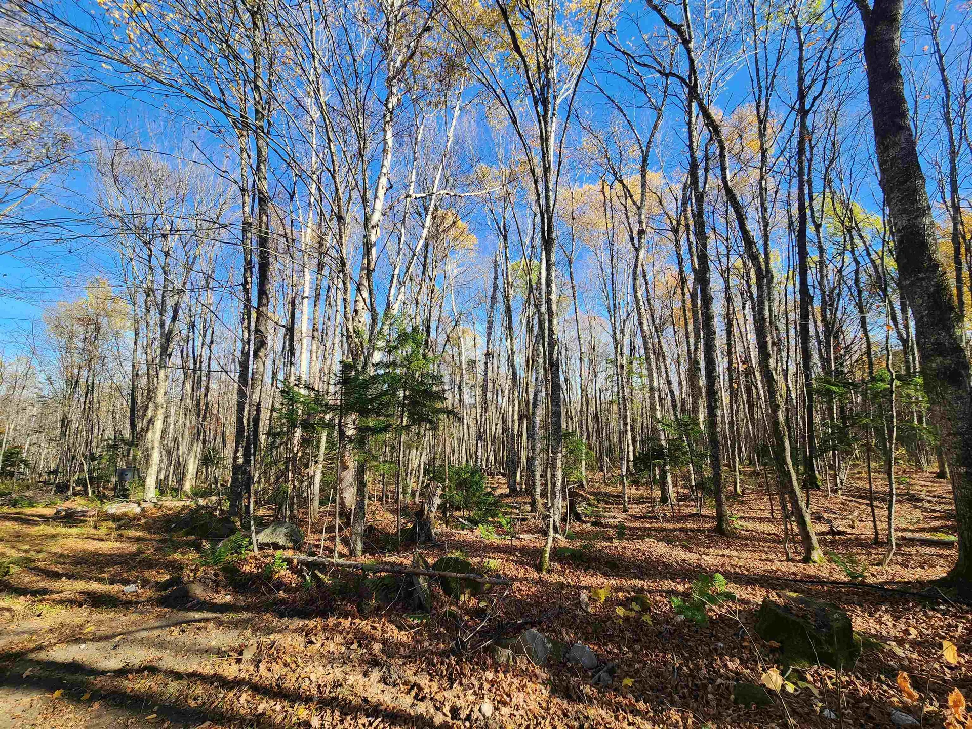 2098 Kinney Hill Road Newark VT 05871