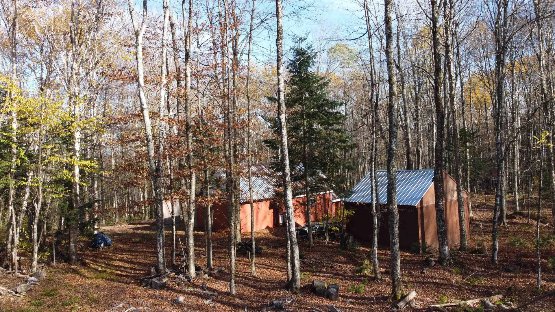 2098 Kinney Hill Road Newark VT 05871