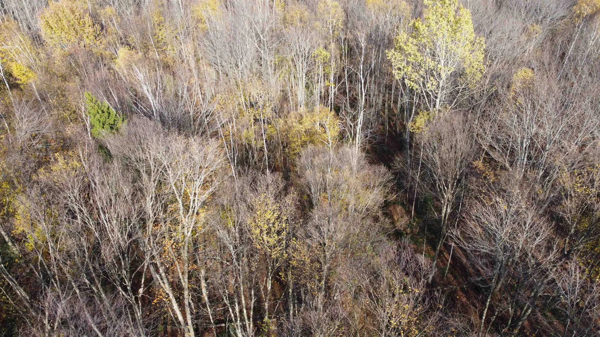 2098 Kinney Hill Road Newark VT 05871