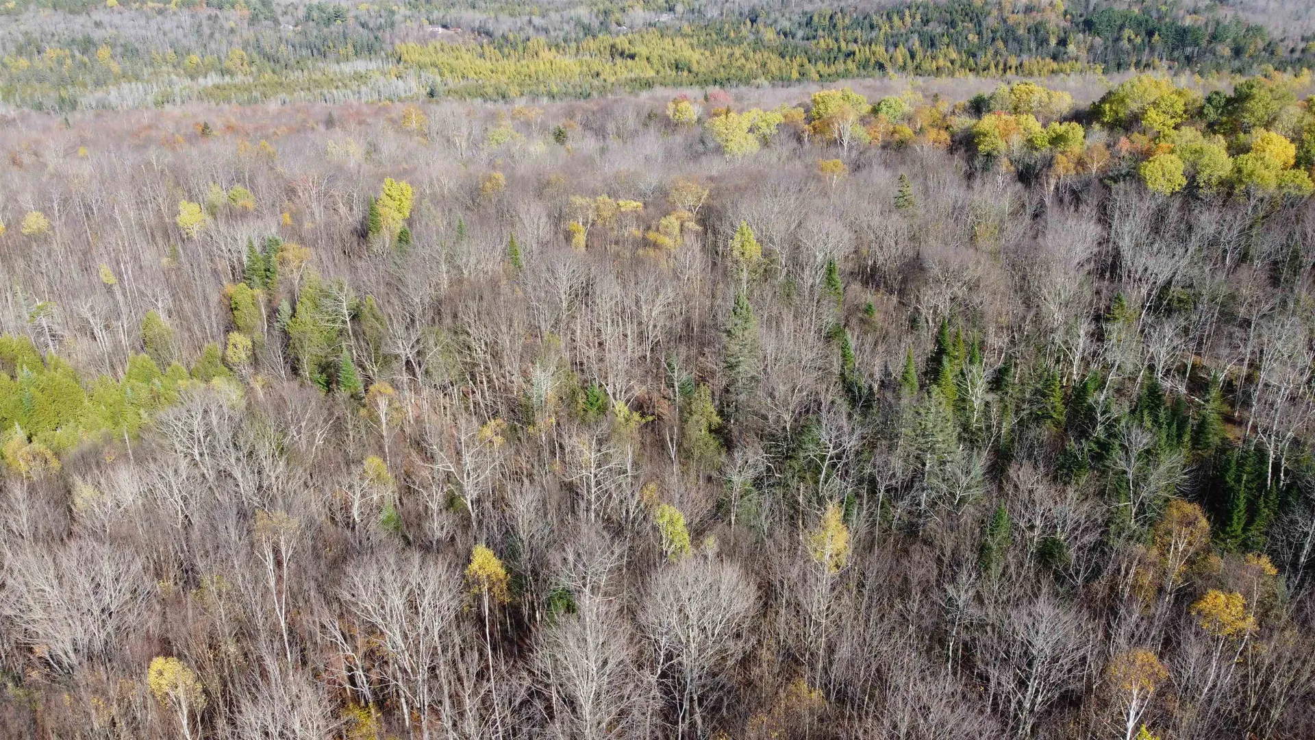 2098 Kinney Hill Road Newark VT 05871