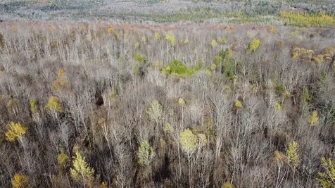 2098 Kinney Hill Road Newark VT 05871