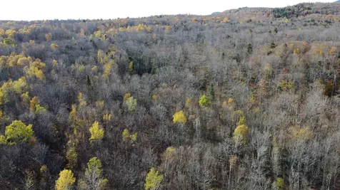 2098 Kinney Hill Road Newark VT 05871