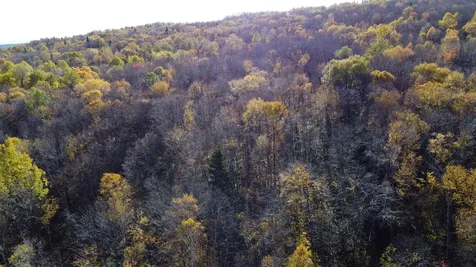 2098 Kinney Hill Road Newark VT 05871