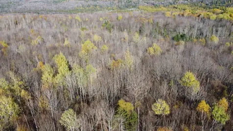 2098 Kinney Hill Road Newark VT 05871