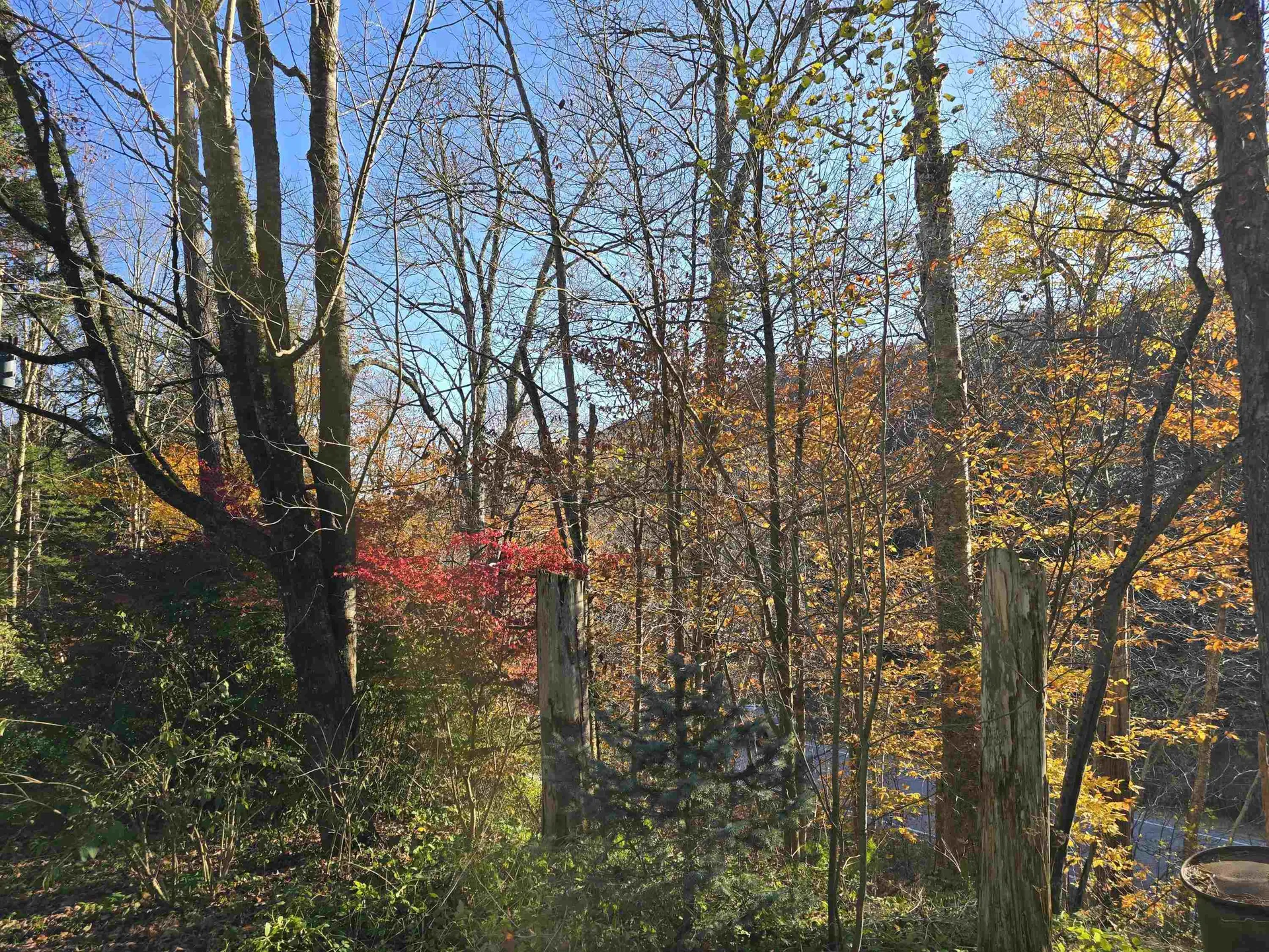 4677 Vt Route 100 Readsboro VT 05350