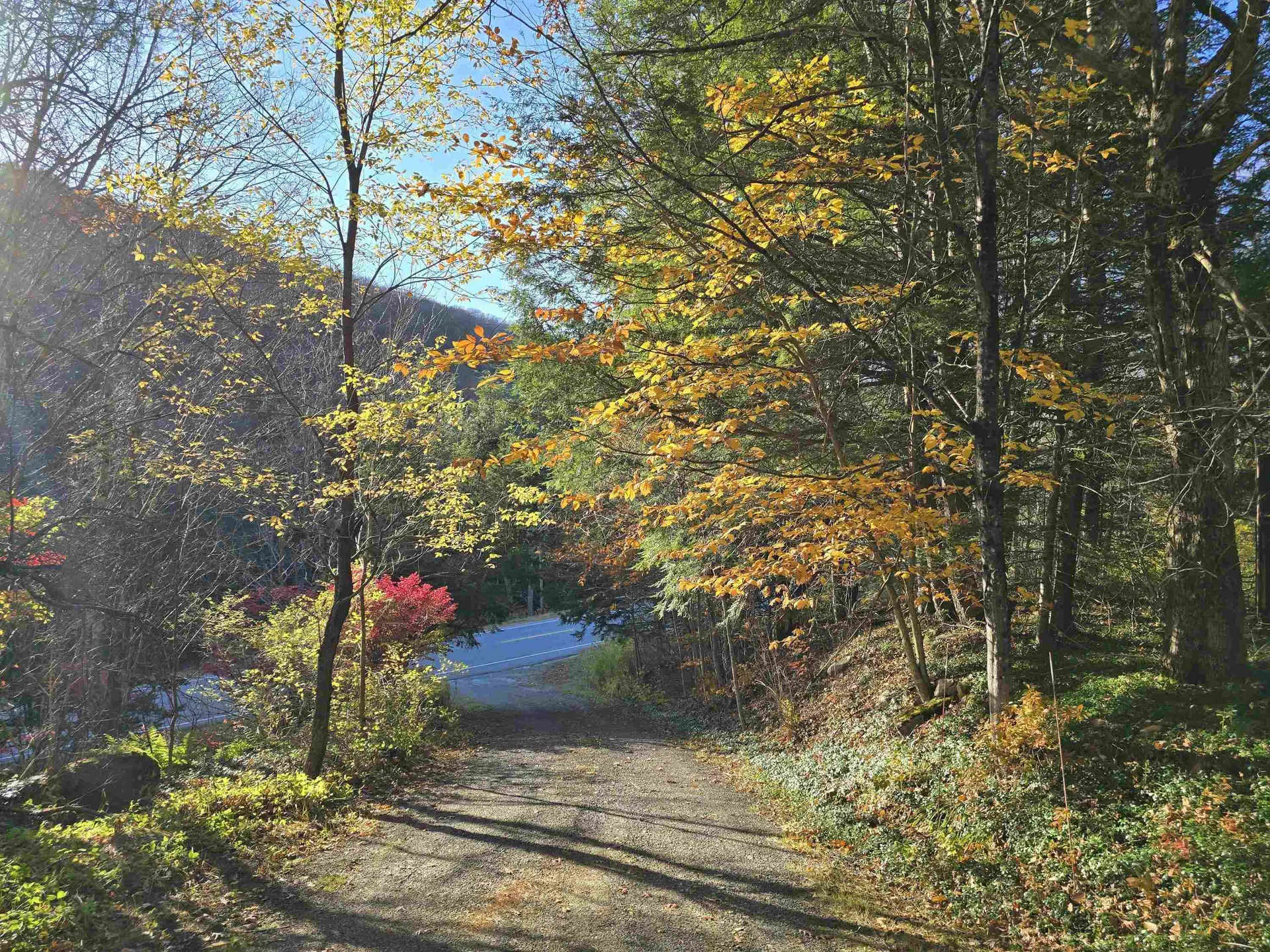 4677 Vt Route 100 Readsboro VT 05350