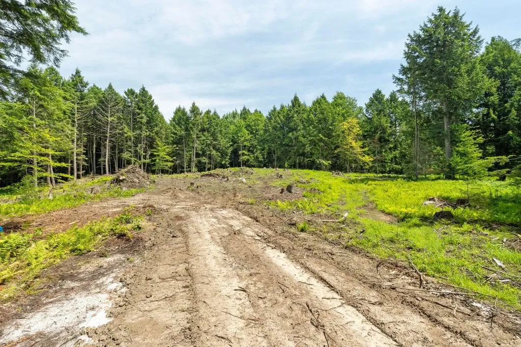 00 Baird Road Stowe VT 05672