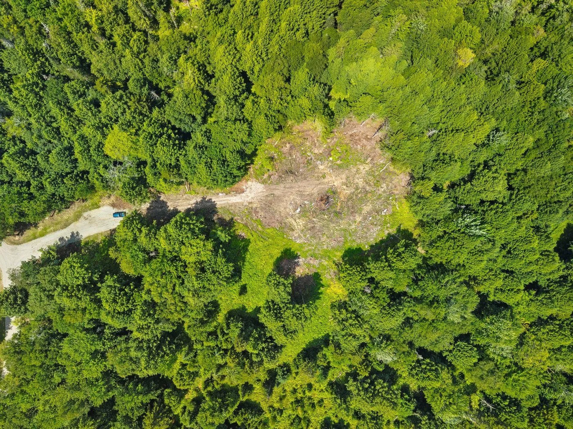 00 Baird Road Stowe VT 05672