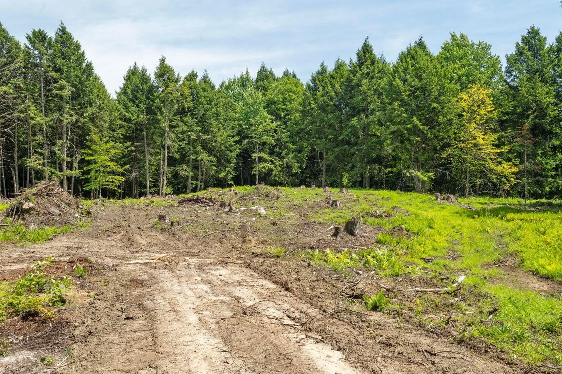 00 Baird Road Stowe VT 05672