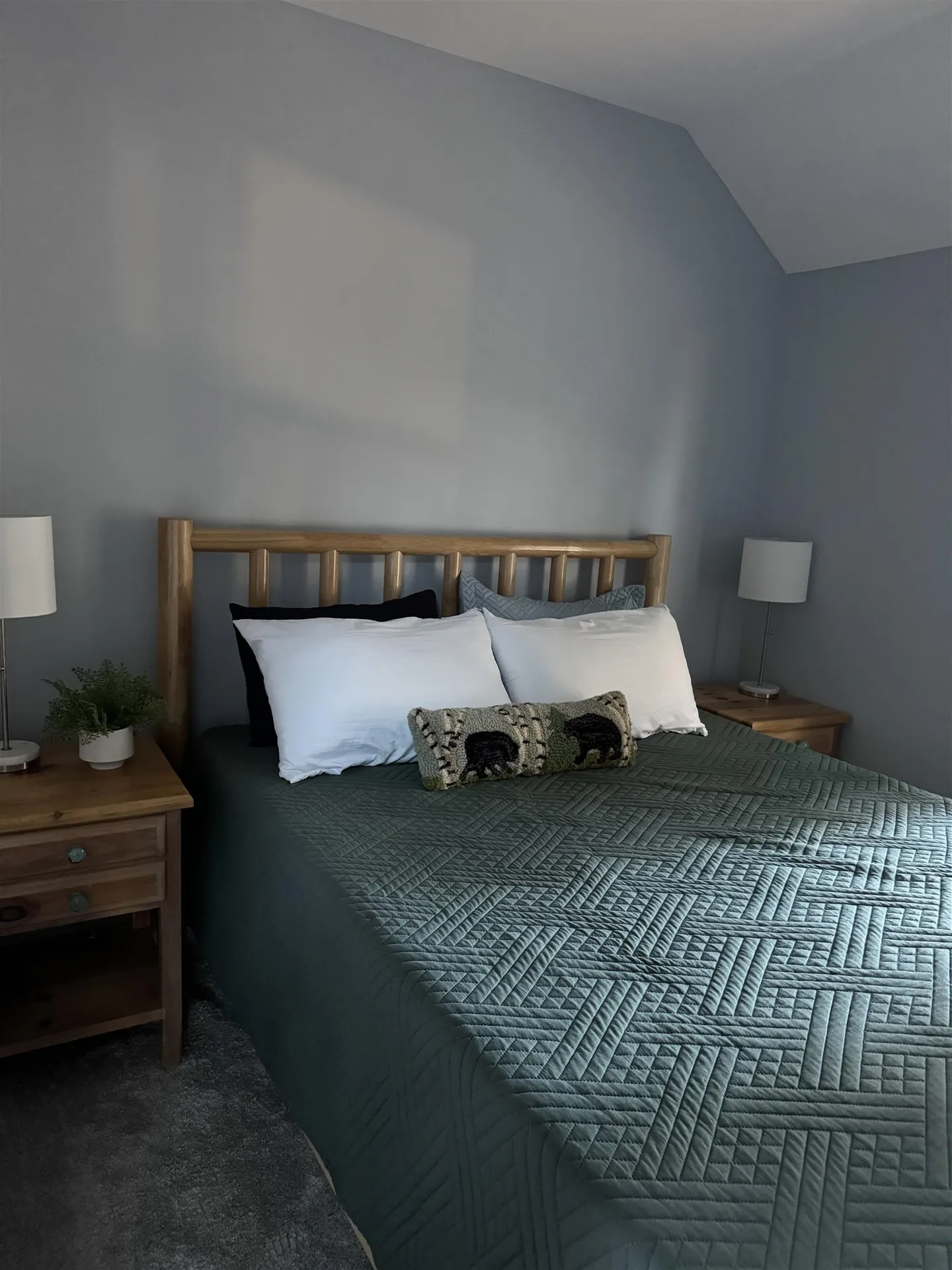 27 Shadowland Road Alstead NH 03602