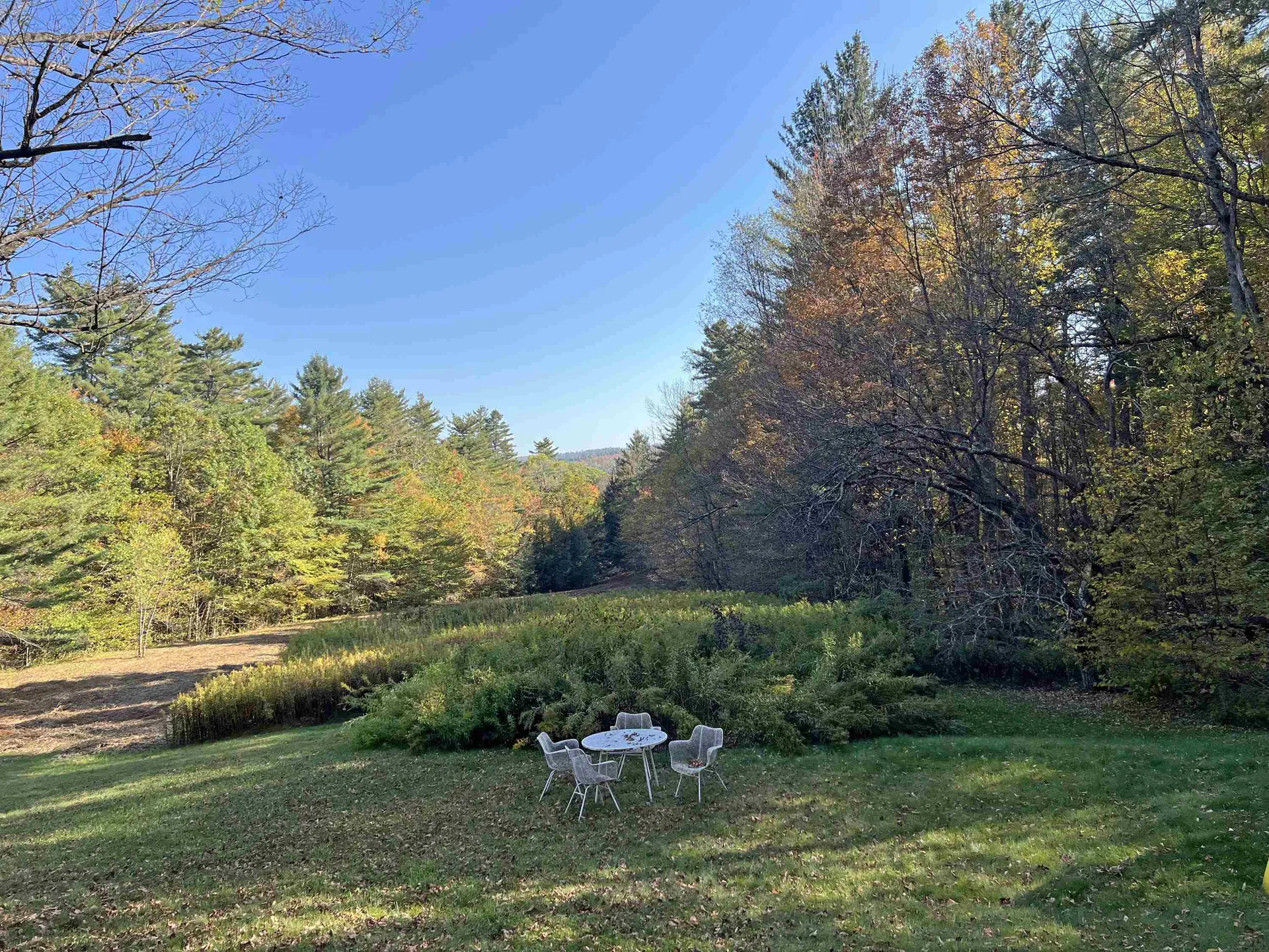 141 Piney Brook Way Marlboro VT 05301-9605