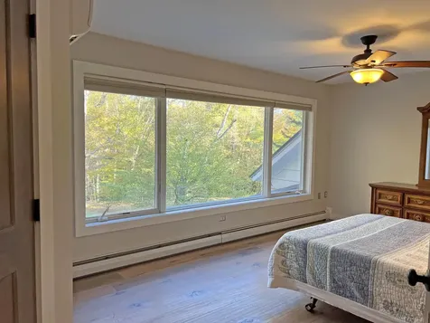 141 Piney Brook Way Marlboro VT 05301-9605