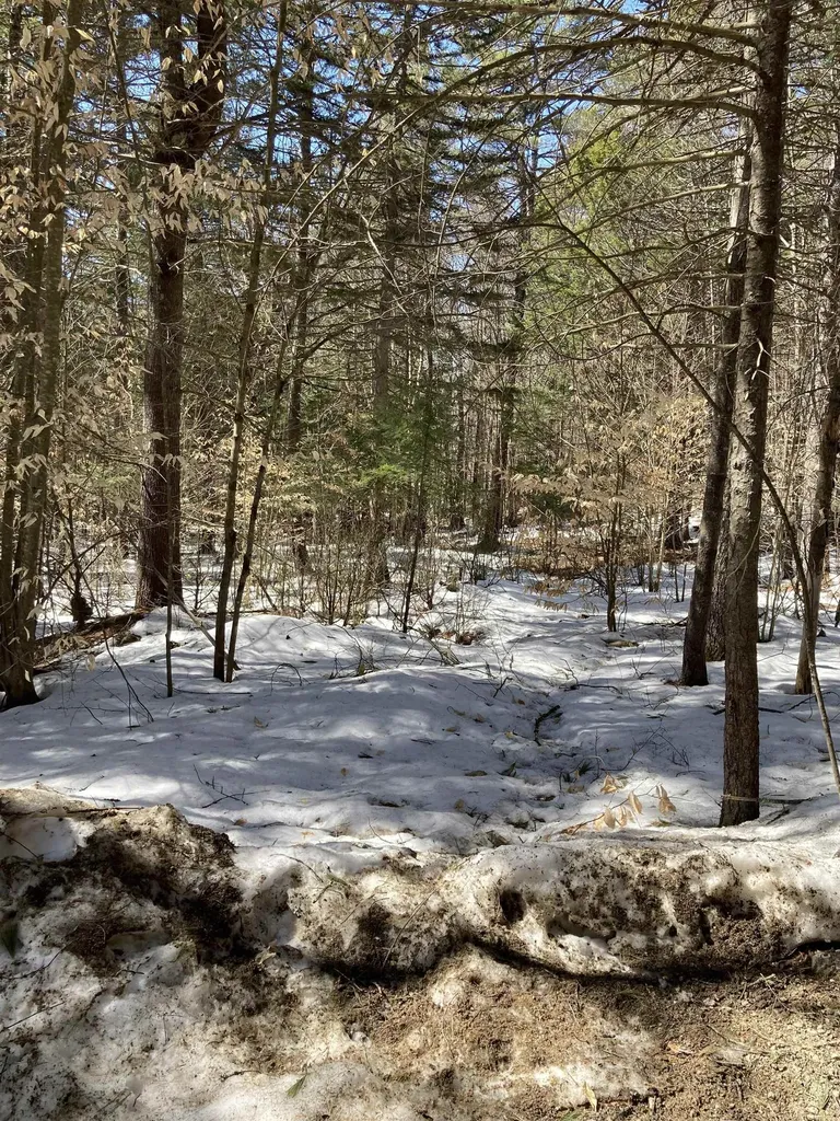 0 Alden Washburn Drive Tamworth NH 03886