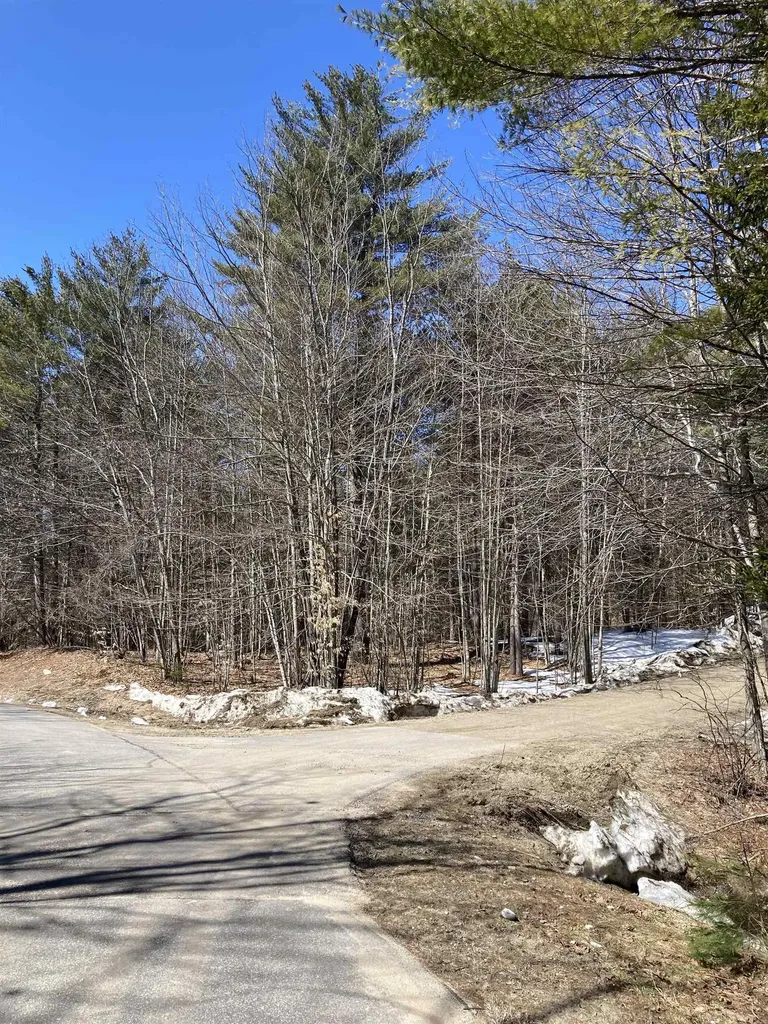 0 Alden Washburn Drive Tamworth NH 03886