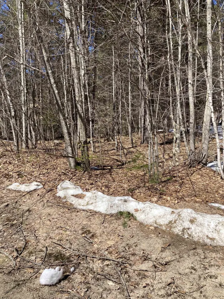 0 Alden Washburn Drive Tamworth NH 03886