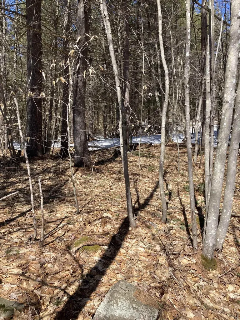 0 Alden Washburn Drive Tamworth NH 03886