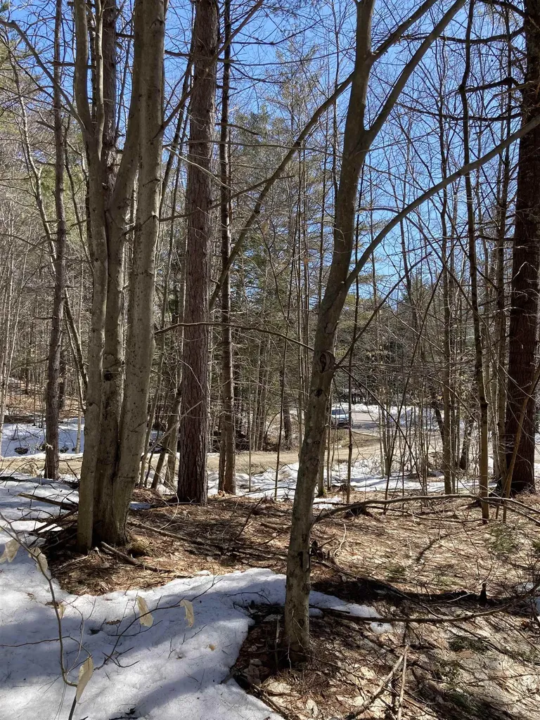 0 Alden Washburn Drive Tamworth NH 03886