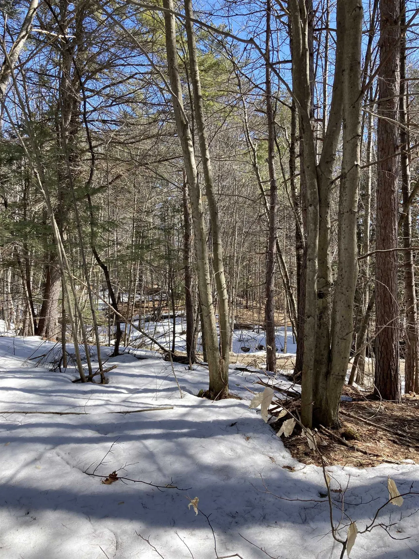 0 Alden Washburn Drive Tamworth NH 03886