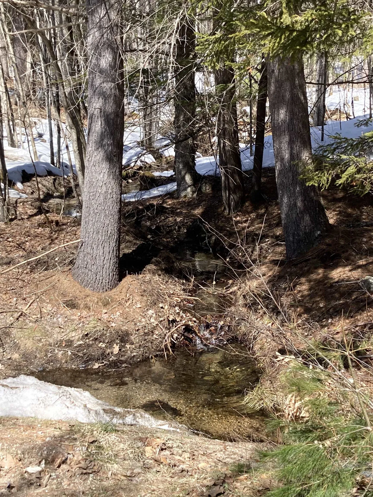 0 Alden Washburn Drive Tamworth NH 03886